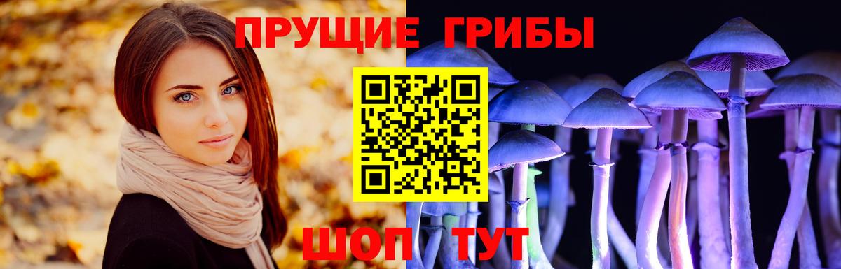 Псилоцибиновые грибы мухоморы Ессентуки